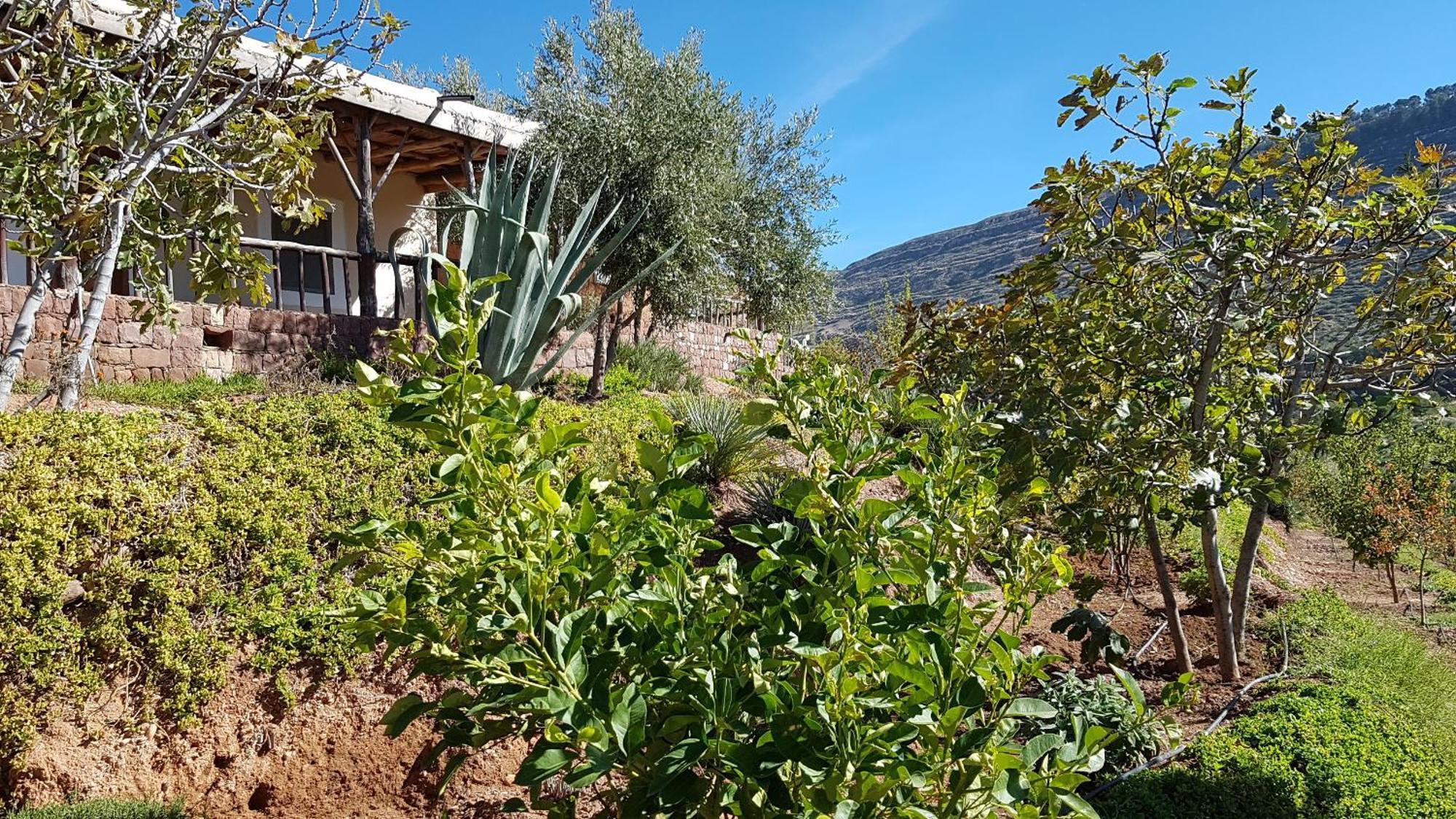 Le Douar Berbere (Adults Only) Vila Ourika Exterior foto